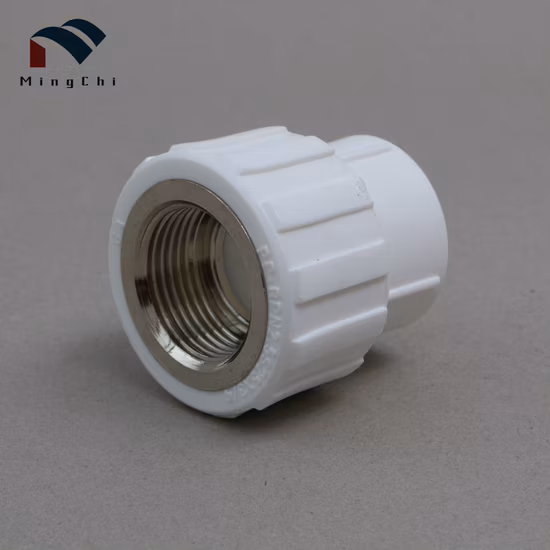 Zhuji PPR Accesorios de tubería Material PPR Inserto de latón Adaptador de enchufe hembra con conector hembra para el hogar